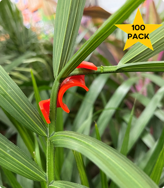 Bulk Plant Benders - 100 Pack