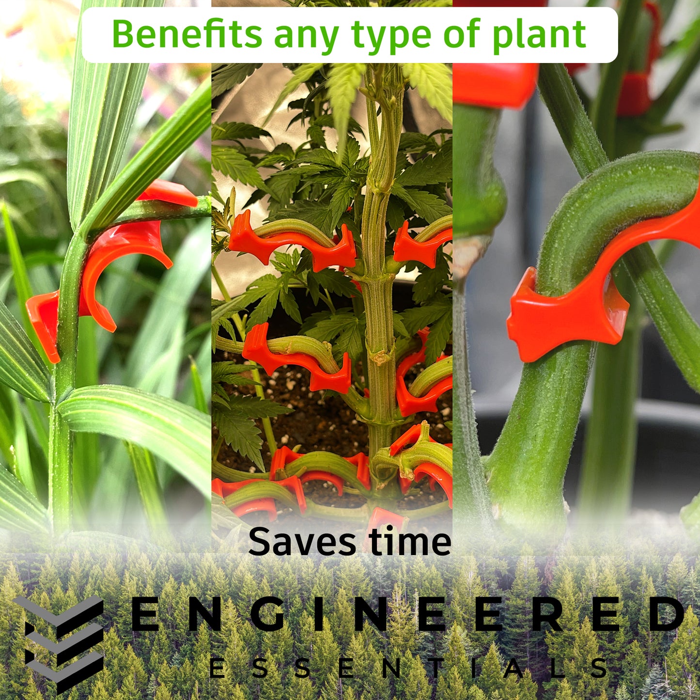 Plant Bender Bulk Deal